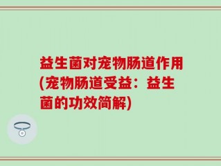 益生菌对宠物肠道作用(宠物肠道受益：益生菌的功效简解)