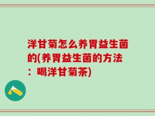 洋甘菊怎么养胃益生菌的(养胃益生菌的方法：喝洋甘菊茶)