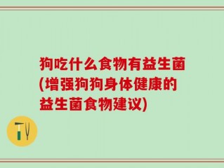 狗吃什么食物有益生菌(增强狗狗身体健康的益生菌食物建议)