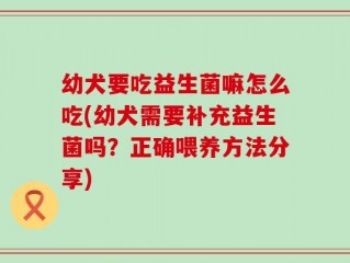 幼犬要吃益生菌嘛怎么吃(幼犬需要补充益生菌吗？正确喂养方法分享)