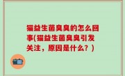 猫益生菌臭臭的怎么回事(猫益生菌臭臭引发关注，原因是什么？)