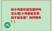 给小鸡苗吃益生菌好吗怎么喂(小鸡苗能否受益于益生菌？如何喂养？)