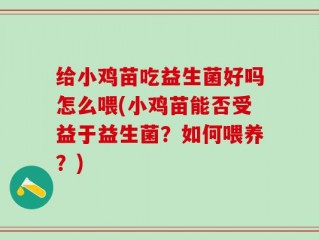 给小鸡苗吃益生菌好吗怎么喂(小鸡苗能否受益于益生菌？如何喂养？)