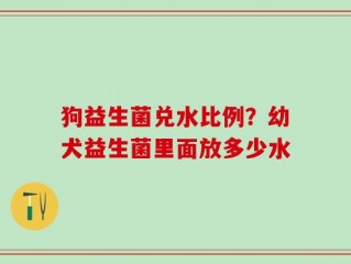 狗益生菌兑水比例？幼犬益生菌里面放多少水