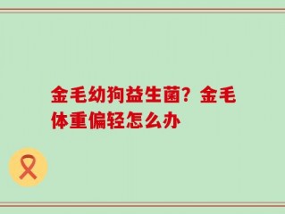 金毛幼狗益生菌？金毛体重偏轻怎么办