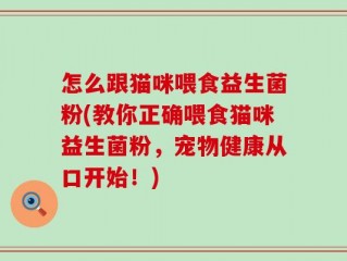 怎么跟猫咪喂食益生菌粉(教你正确喂食猫咪益生菌粉，宠物健康从口开始！)