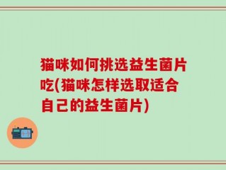 猫咪如何挑选益生菌片吃(猫咪怎样选取适合自己的益生菌片)