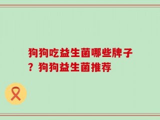 狗狗吃益生菌哪些牌子？狗狗益生菌推荐
