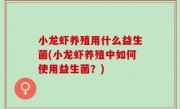 小龙虾养殖用什么益生菌(小龙虾养殖中如何使用益生菌？)