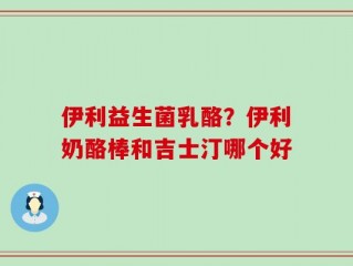 伊利益生菌乳酪？伊利奶酪棒和吉士汀哪个好