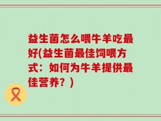 益生菌怎么喂牛羊吃最好(益生菌最佳饲喂方式：如何为牛羊提供最佳营养？)