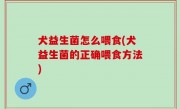 犬益生菌怎么喂食(犬益生菌的正确喂食方法)