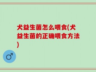 犬益生菌怎么喂食(犬益生菌的正确喂食方法)