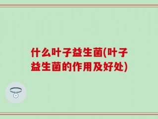 什么叶子益生菌(叶子益生菌的作用及好处)
