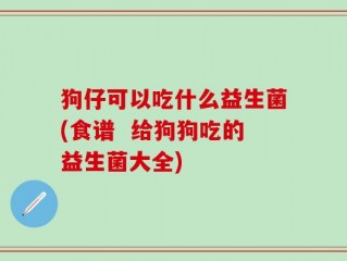 狗仔可以吃什么益生菌(食谱  给狗狗吃的益生菌大全)