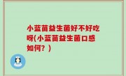 小蓝苗益生菌好不好吃呀(小蓝苗益生菌口感如何？)