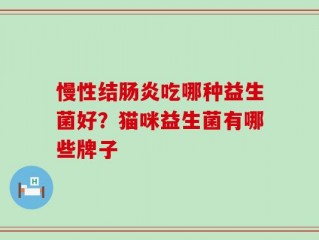 慢性结肠炎吃哪种益生菌好？猫咪益生菌有哪些牌子