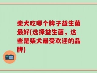 柴犬吃哪个牌子益生菌最好(选择益生菌，这些是柴犬最受欢迎的品牌)