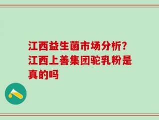 江西益生菌市场分析？江西上善集团驼乳粉是真的吗