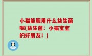小猫能服用什么益生菌呢(益生菌：小猫宝宝的好朋友！)