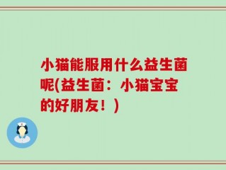 小猫能服用什么益生菌呢(益生菌：小猫宝宝的好朋友！)