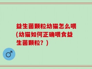 益生菌颗粒幼猫怎么喂(幼猫如何正确喂食益生菌颗粒？)