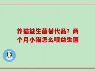 养猫益生菌替代品？两个月小猫怎么喂益生菌
