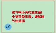 胀气喝小葵花益生菌(小葵花益生菌，缓解胀气佳选择