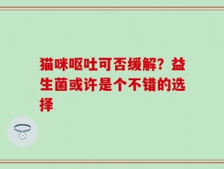 猫咪呕吐可否缓解？益生菌或许是个不错的选择