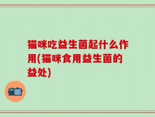 猫咪吃益生菌起什么作用(猫咪食用益生菌的益处)
