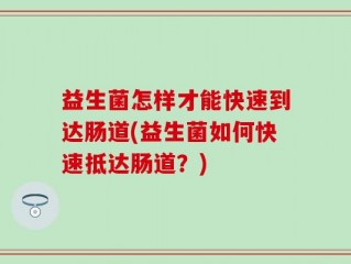 益生菌怎样才能快速到达肠道(益生菌如何快速抵达肠道？)
