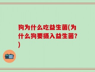 狗为什么吃益生菌(为什么狗要摄入益生菌？)