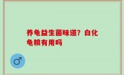 养龟益生菌味道？白化龟粮有用吗