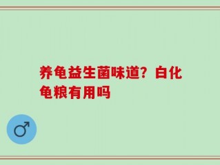 养龟益生菌味道？白化龟粮有用吗