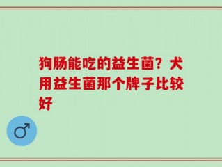狗肠能吃的益生菌？犬用益生菌那个牌子比较好