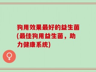 狗用效果最好的益生菌(最佳狗用益生菌，助力健康系统)