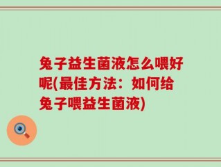 兔子益生菌液怎么喂好呢(最佳方法：如何给兔子喂益生菌液)