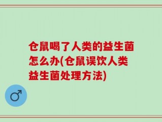 仓鼠喝了人类的益生菌怎么办(仓鼠误饮人类益生菌处理方法)