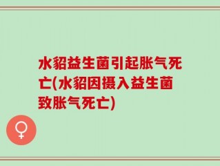 水貂益生菌引起胀气死亡(水貂因摄入益生菌致胀气死亡)