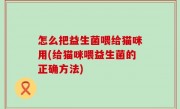 怎么把益生菌喂给猫咪用(给猫咪喂益生菌的正确方法)