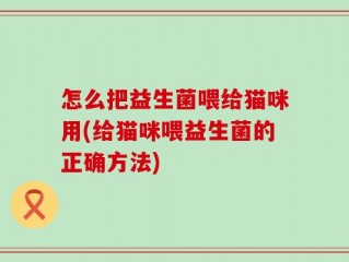怎么把益生菌喂给猫咪用(给猫咪喂益生菌的正确方法)