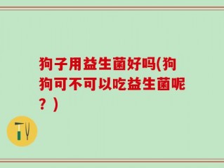 狗子用益生菌好吗(狗狗可不可以吃益生菌呢？)