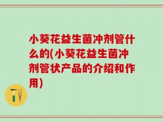 小葵花益生菌冲剂管什么的(小葵花益生菌冲剂管状产品的介绍和作用)