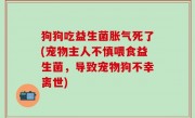 狗狗吃益生菌胀气死了(宠物主人不慎喂食益生菌，导致宠物狗不幸离世)