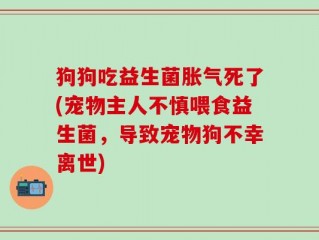 狗狗吃益生菌胀气死了(宠物主人不慎喂食益生菌，导致宠物狗不幸离世)