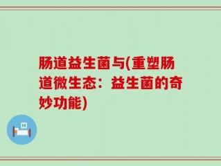 肠道益生菌与(重塑肠道微生态：益生菌的奇妙功能)