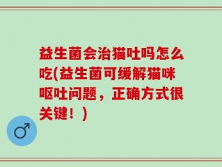 益生菌会治猫吐吗怎么吃(益生菌可缓解猫咪呕吐问题，正确方式很关键！)