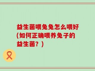 益生菌喂兔兔怎么喂好(如何正确喂养兔子的益生菌？)