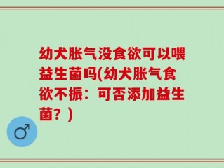幼犬胀气没食欲可以喂益生菌吗(幼犬胀气食欲不振：可否添加益生菌？)