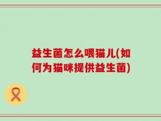 益生菌怎么喂猫儿(如何为猫咪提供益生菌)